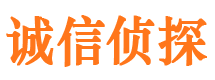 镇平市私家侦探